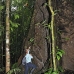 tree_kapok_la_v_0051_ecu0719.jpg